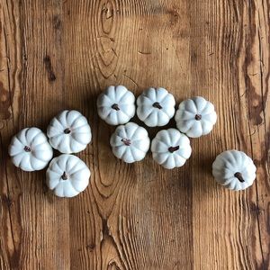 White Decorative Pumpkins